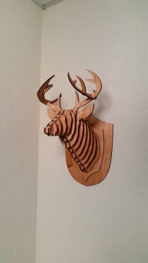 gallery/20151008_175143